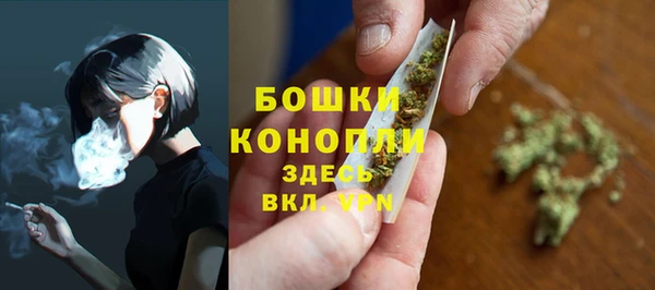 гашик Арсеньев