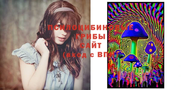 ГАЛЛЮЦИНОГЕННЫЕ ГРИБЫ Армянск