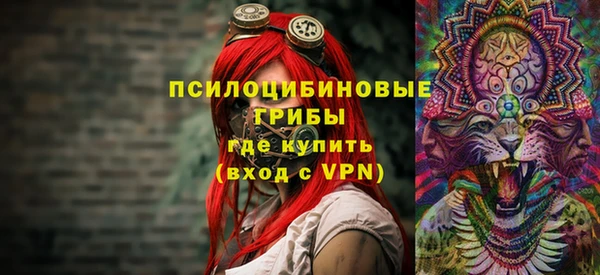 ГАЛЛЮЦИНОГЕННЫЕ ГРИБЫ Армянск
