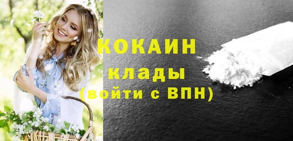 гашик Арсеньев