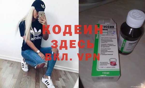 гашик Арсеньев