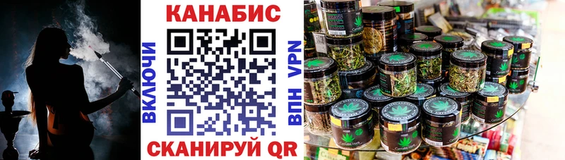 Канабис сатива  Югорск 